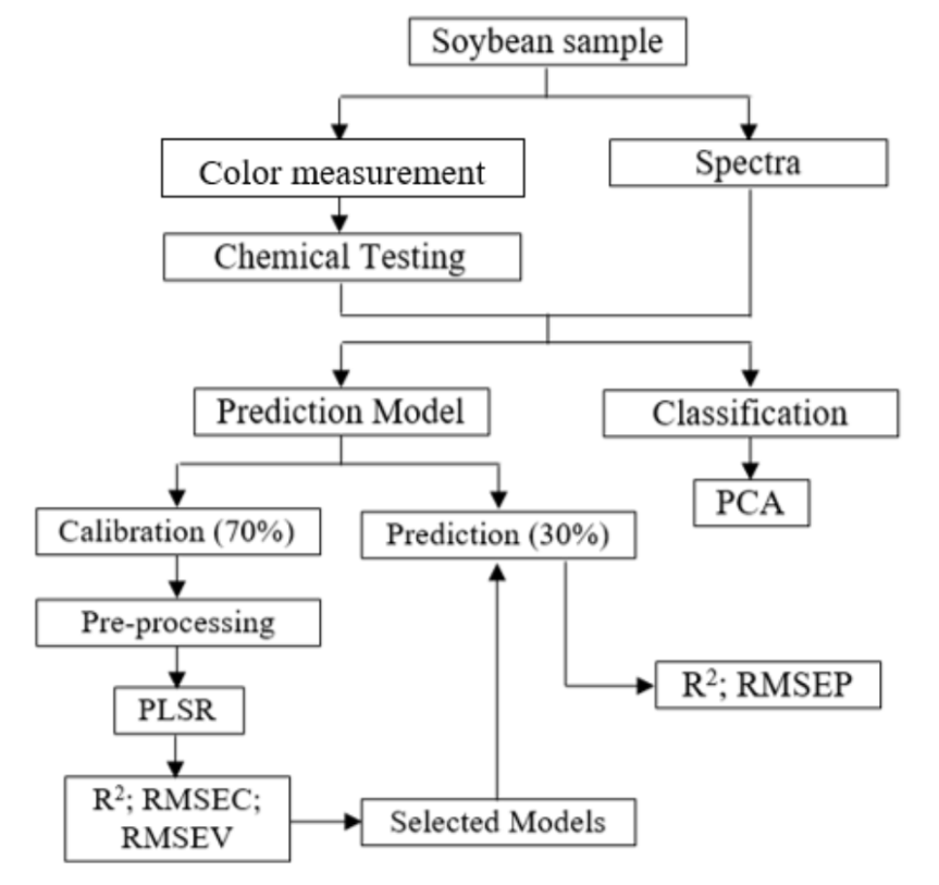 Figure 2 Workflow of chemometric analysis in soybean characterization