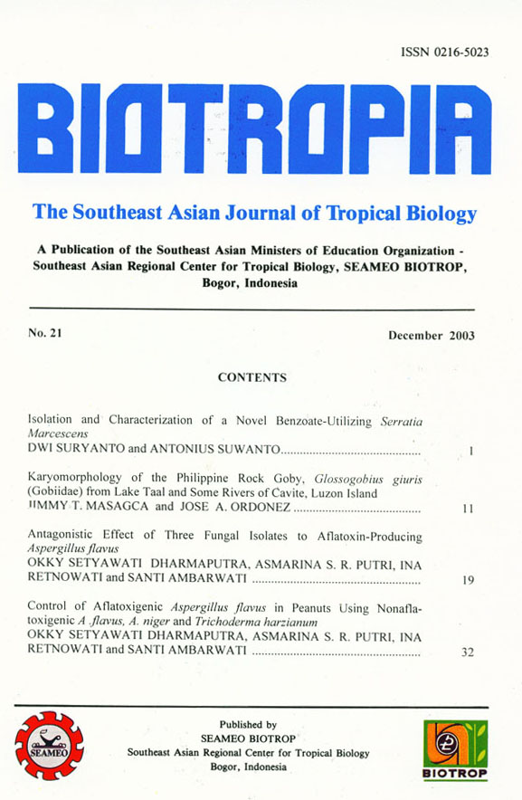 						View No. 21 (2003)
					