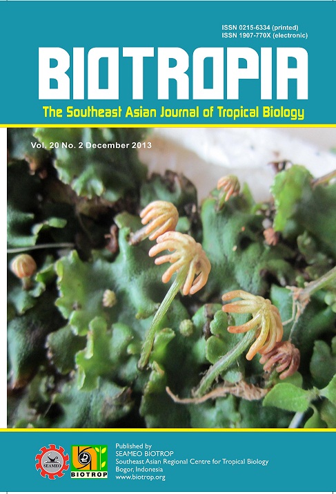 						View Vol. 20 No. 2 (2013)
					