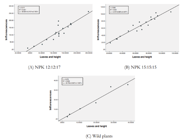 Amaranthus viridis studied under (A) NPK 12:12:17, (B) NPK 15:15:15 and (C) wild plants