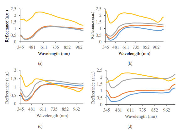The reflectance spectra in various sample types of all soybean varieties 